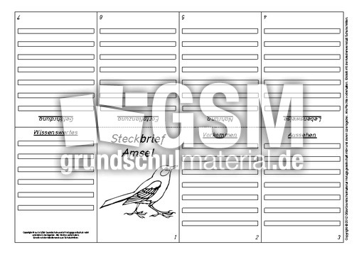 Faltbuch-Steckbrief-Amsel-1.pdf